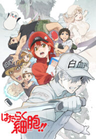 2ea8e5e9edb67a529e812bea52636834