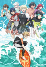 493cc03c4848762279ccf374f4cdeaa7