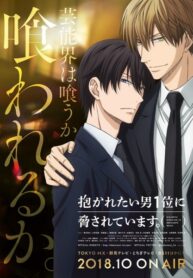 56e9f6c08349028a8dbe7add43d91669