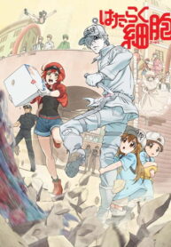 Hataraku-Saibou