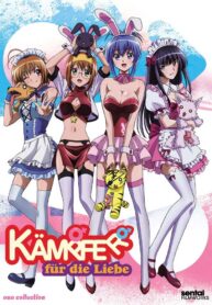 b75f00559e585f9aed5f2d8b3f661c01