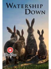 8704c25ec8d0798cf8e2826d8a926487