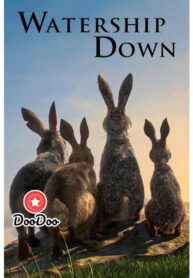 8704c25ec8d0798cf8e2826d8a926487