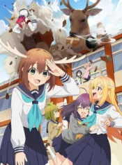 shikanoko-nokonoko-koshitantan