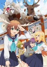 shikanoko-nokonoko-koshitantan