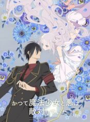 1b095fc5c1c146b8a715f76450c869f8