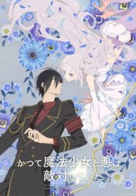 1b095fc5c1c146b8a715f76450c869f8