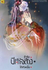 normal-5cdd6481d5132-image