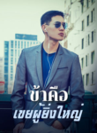 ข้าคือเขยผู้ยิ่งใหญ่